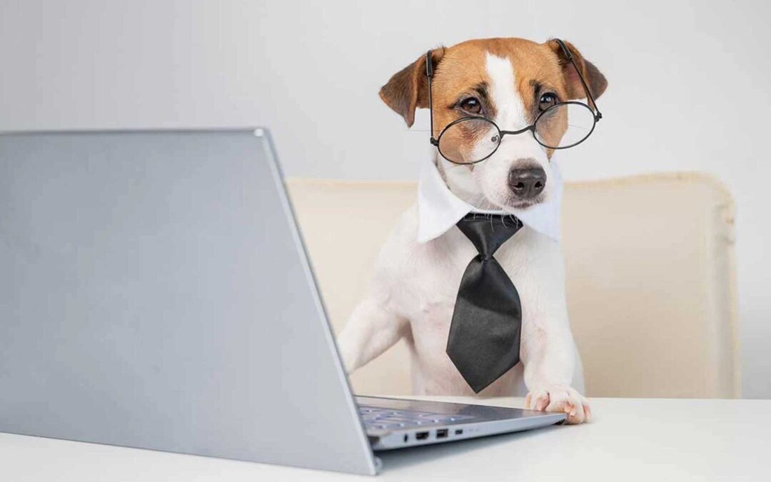 Last minute csapatépítő ötletek rendezvényekre